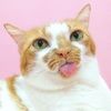 boopboy